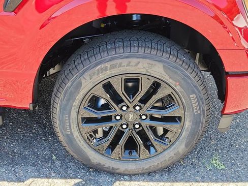 New 2025 Ford F150 XLT w/ Equipment Group 303A High image 19