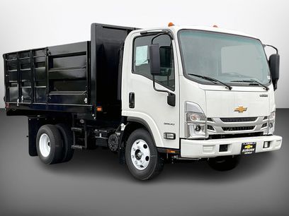 New 2025 Chevrolet Low Cab Forward