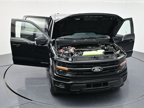 New 2025 Ford F150 XLT w/ Equipment Group 302A MID image 39