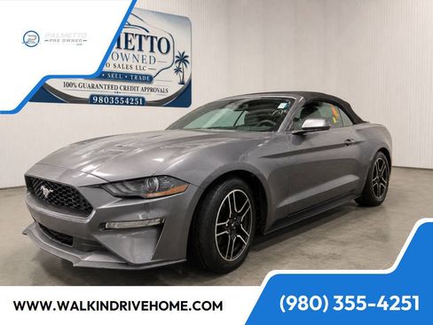 Used 2022 Ford Mustang Premium RWD image 6