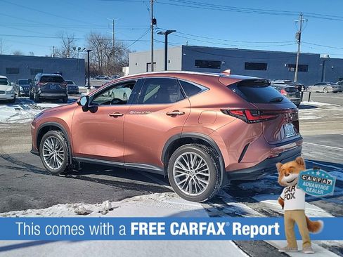 Used 2025 Lexus NX 350h AWD w/ Premium Package image 3