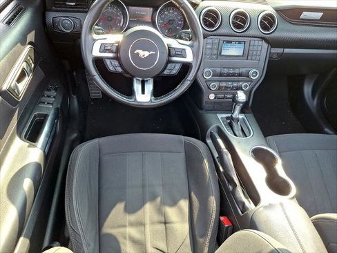 Used 2019 Ford Mustang Convertible image 12