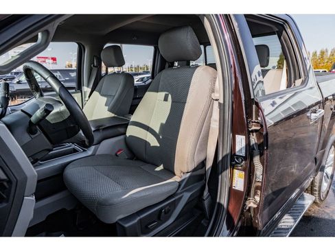 Used 2019 Ford F150 XLT w/ Equipment Group 302A Luxury image 8