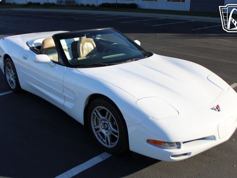 Used 1998 Chevrolet Corvette Convertible image 16