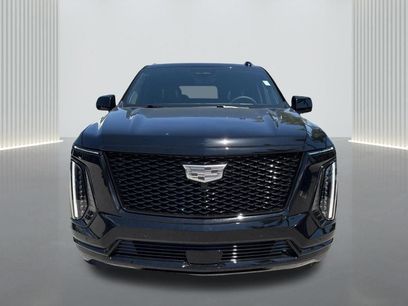 Used 2026 Cadillac Escalade Platinum Sport w/ LPO, ONYX Package