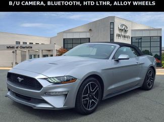 Used 2023 Ford Mustang Premium image 1