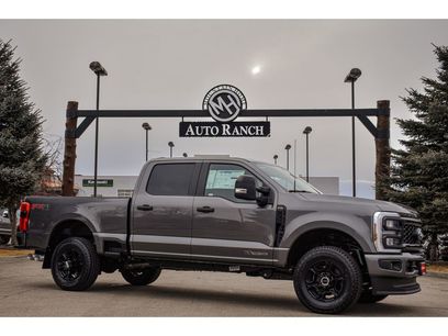 New 2025 Ford F250 XL w/ STX Appearance Package