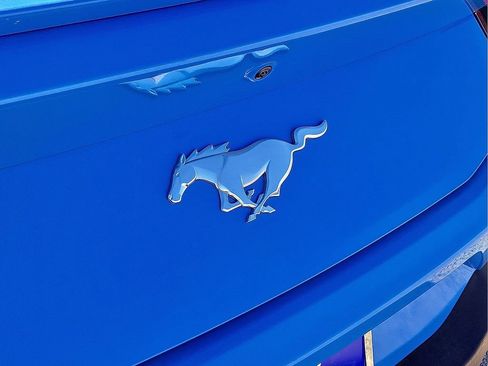 Used 2024 Ford Mustang Premium image 12