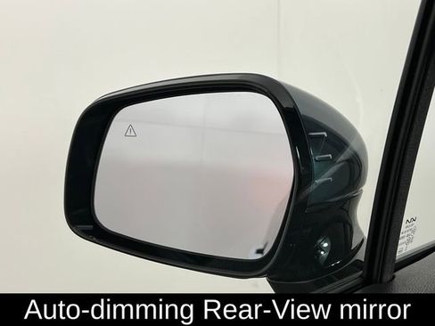 Used 2024 Kia Carnival SX Prestige image 33