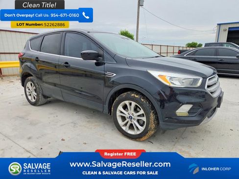 Used 2019 Ford Escape SE FWD image 5