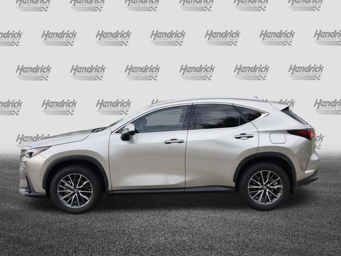 Used 2025 Lexus NX 350h AWD w/ Cold Area Package image 6