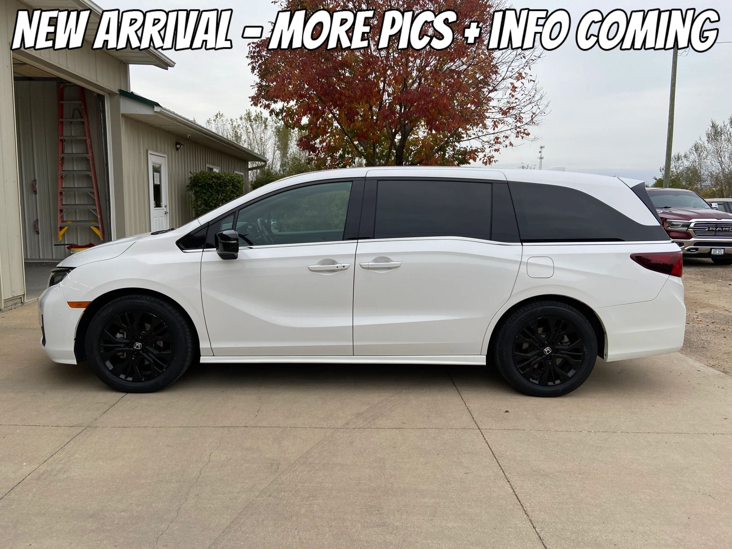 Used 2025 Honda Odyssey Sport-L image 2