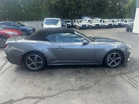 Used 2024 Ford Mustang Premium image 4