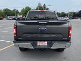 Used 2020 Ford F150 XLT w/ Equipment Group 302A Luxury image 4