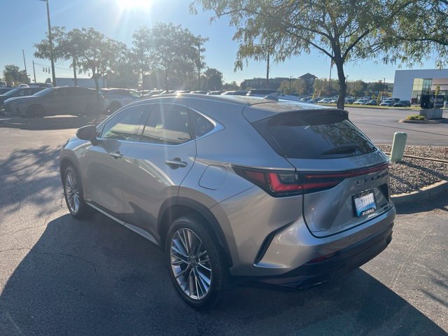 Certified 2026 Lexus NX 350 AWD w/ Accessory Package (2T) image 4