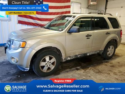 Used 2010 Ford Escape XLT