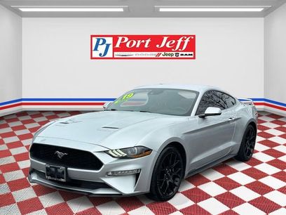 Used 2019 Ford Mustang Premium w/ Ecoboost Performance Package