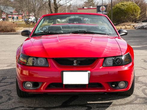 Used 1999 Ford Mustang Cobra image 13