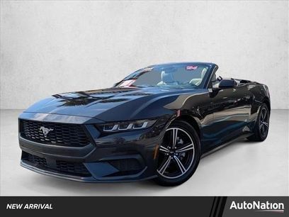 Used 2024 Ford Mustang Premium