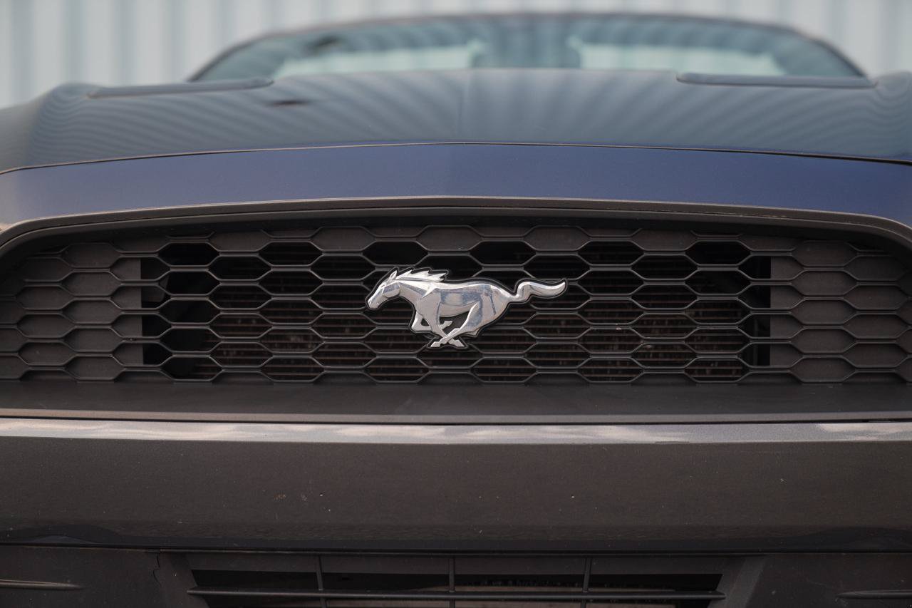 Used 2018 Ford Mustang Convertible w/ Ecoboost Performance Package RWD image 5