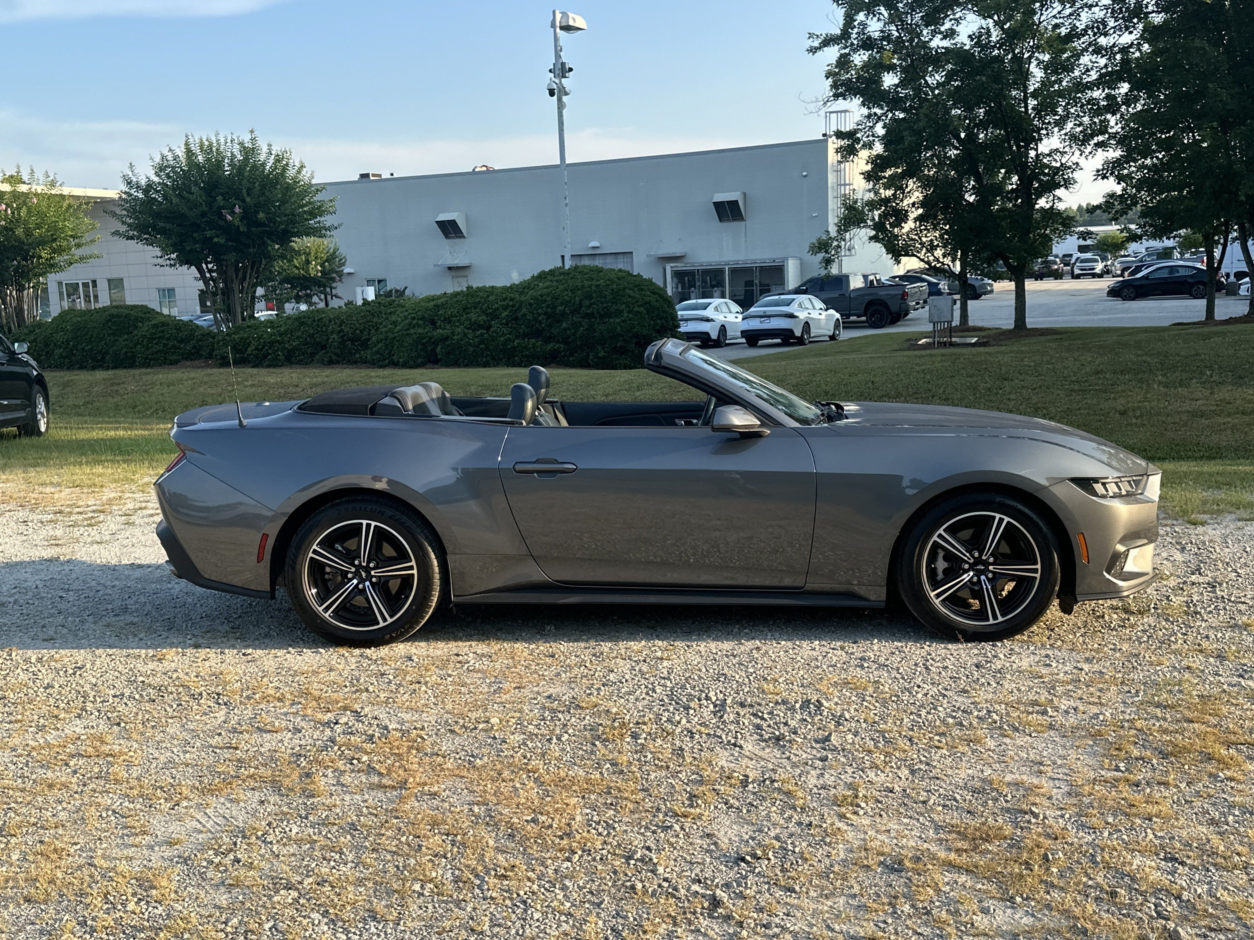 Used 2025 Ford Mustang Premium RWD image 4