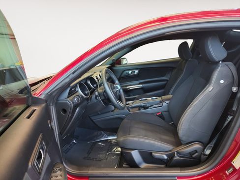 Used 2019 Ford Mustang Coupe RWD image 22