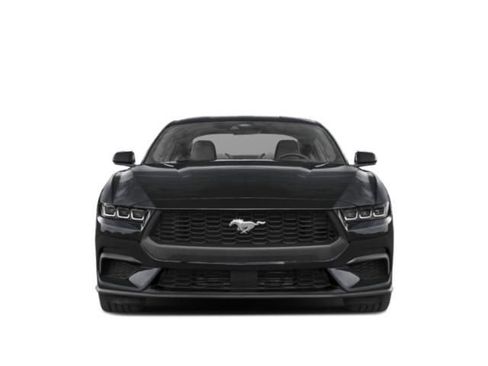 Used 2025 Ford Mustang Premium RWD image 4