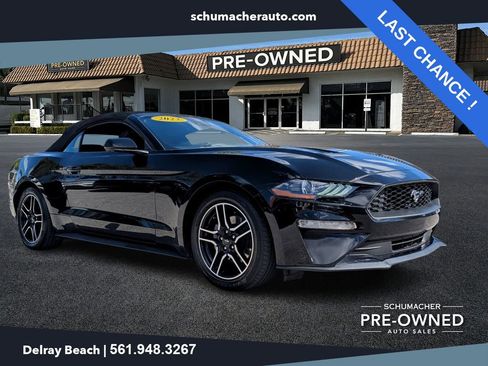 Used 2023 Ford Mustang Premium image 1