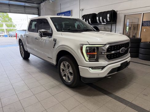 Used 2021 Ford F150 Platinum w/ Equipment Group 701A High AWD/4WD image 1