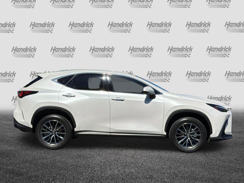 Used 2024 Lexus NX 350h AWD image 3