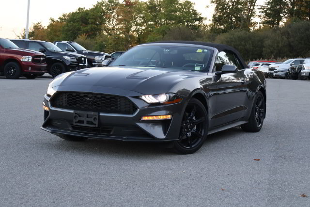 Used 2019 Ford Mustang Convertible w/ Equipment Group 101A RWD image 1