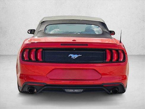Used 2019 Ford Mustang Premium image 4