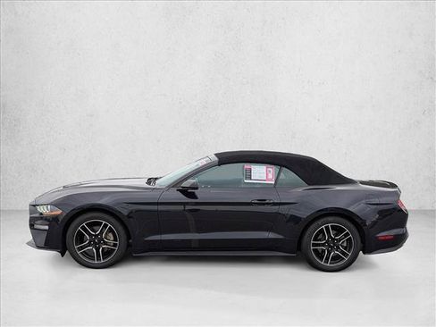 Used 2023 Ford Mustang Premium image 8