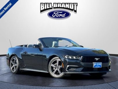 Used 2024 Ford Mustang Premium