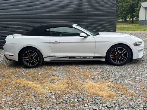 Used 2018 Ford Mustang Premium RWD image 6