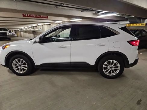 Used 2020 Ford Escape SE AWD/4WD image 6