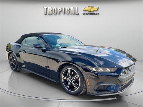 Used 2025 Ford Mustang Premium image 7