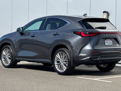 Used 2025 Lexus NX 350 AWD w/ Cold Area Package image 3