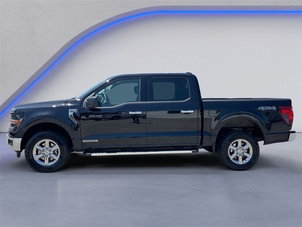 Used 2025 Ford F150 XLT w/ Equipment Group 301A Standard AWD/4WD image 7