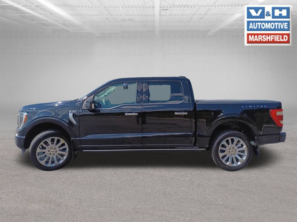 Used 2021 Ford F150 Limited AWD/4WD image 2