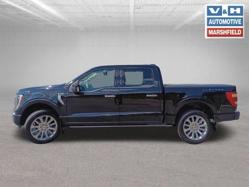Used 2021 Ford F150 Limited AWD/4WD image 2