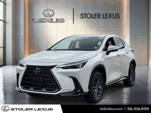 Used 2025 Lexus NX 350h AWD w/ Cold Area Package image 3