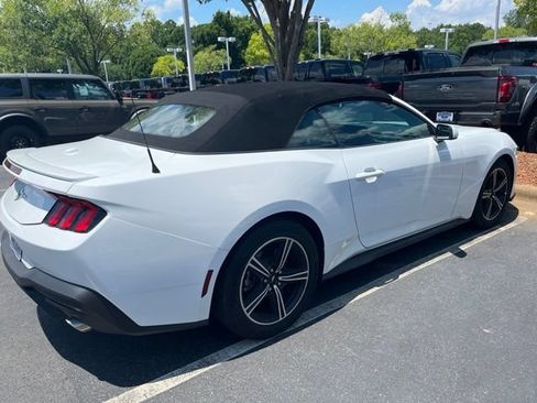 Used 2025 Ford Mustang Premium RWD image 3