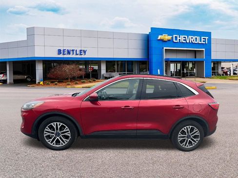 Used 2020 Ford Escape SEL image 2