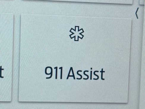 New 2025 Ford F350 Platinum image 16