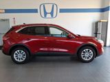 Used 2020 Ford Escape SE image 4