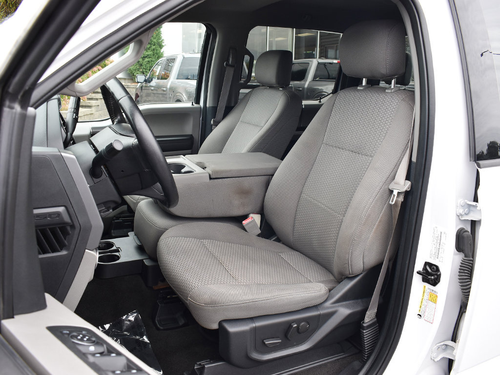 Used 2019 Ford F150 XLT w/ Equipment Group 302A Luxury AWD/4WD image 5