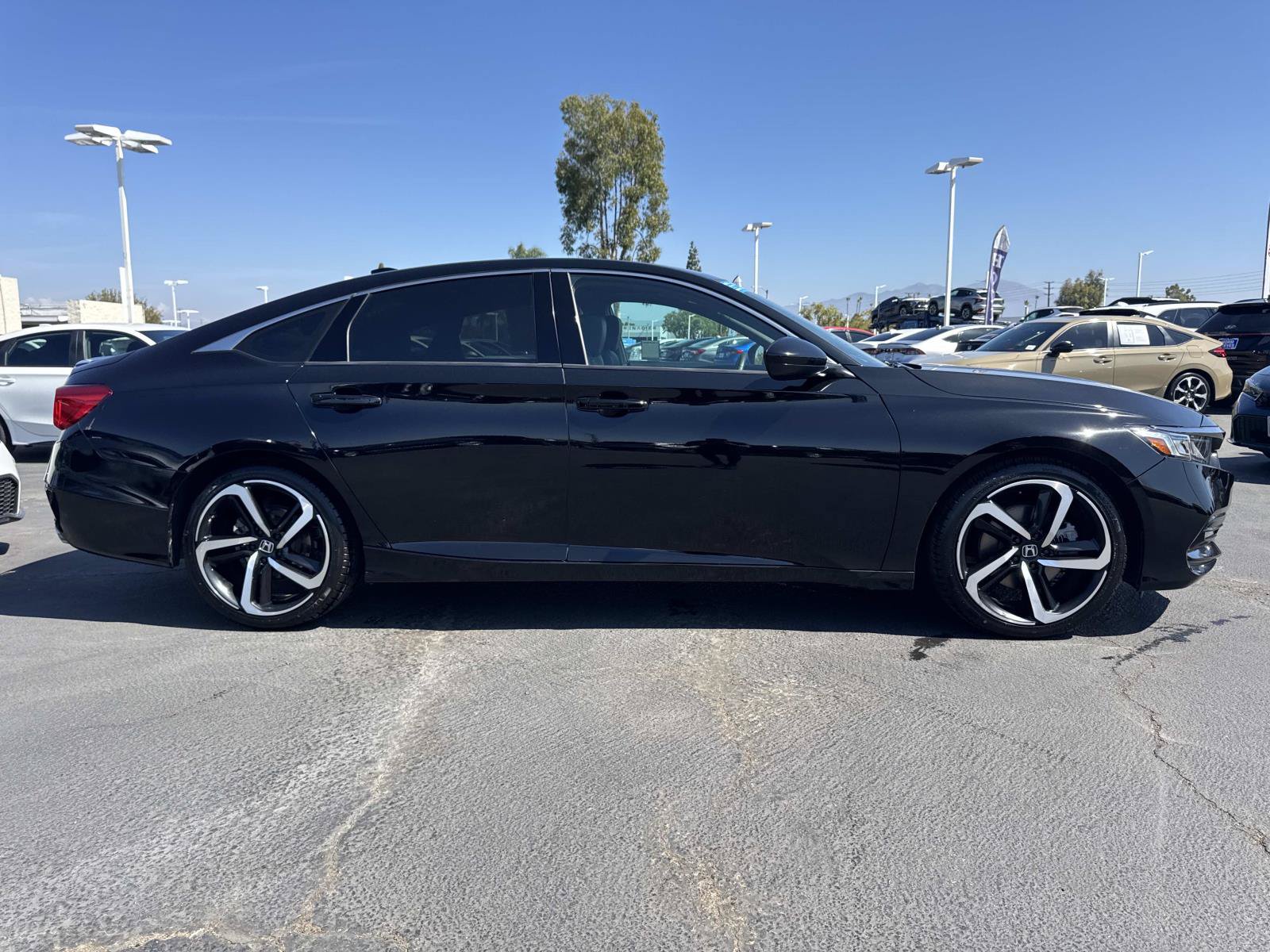 Certified 2019 Honda Accord Sport image 6