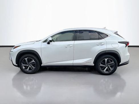 Used 2019 Lexus NX 300h AWD w/ Premium Package image 4