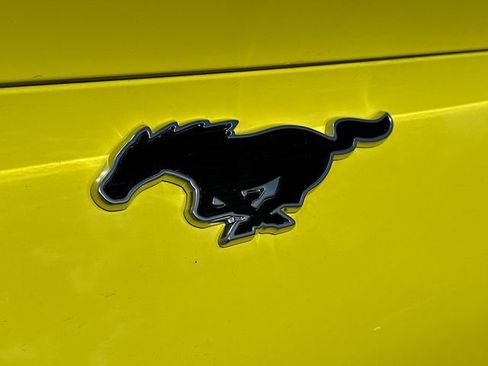 New 2025 Ford Mustang Mach-E GT w/ Interior Protection Package image 19